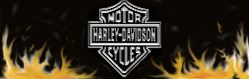 Кожаная куртка HARLEY DAVIDSON Super DEAL размер M