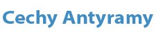 Antyrama A3, EXTRA 29,7x42 plexi