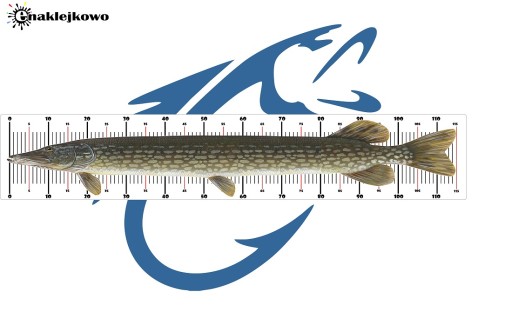 Рулетка мерная Рулетка для рыбы ГРАФИКА для лодки Лодка ЩУКА