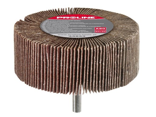 PROLINE Trzpieniowa ściernica listkowa 40x20 g 80
