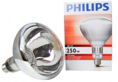 ŻARÓWKA PROMIENNIK LAMPA GRZEW 250W BIAŁA PHILIPS