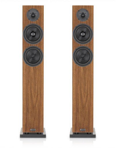 Audio Physic Classic 8 (Orzech) - para