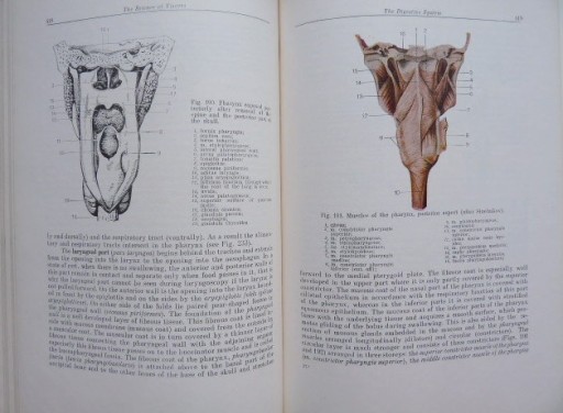 HUMAN ANATOMY 1 - anatomia