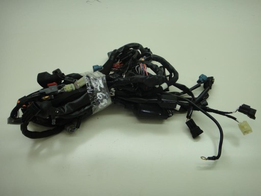 12ET152020ET - Електропроводка KAWASAKI Z650