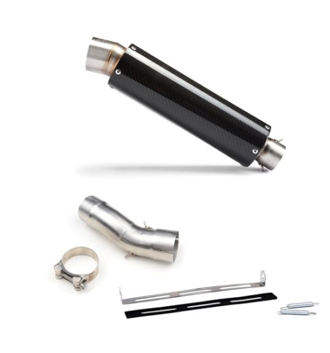 Ex1021 - CARBON GP ГЛУШНИК ВИХЛОПНИХ ГАЗІВ-KAWASAKI ZX10R 2016-2019