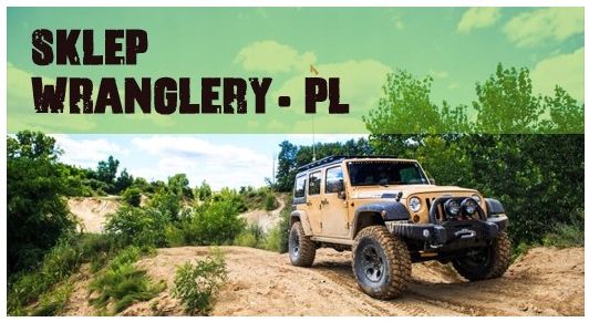 ANNEAU OSADCZY DEMI-AXE ARRIÈRE MOPAR WRANGLER JK D44 photo 3 - milautoparts-fr.ukrlive.com