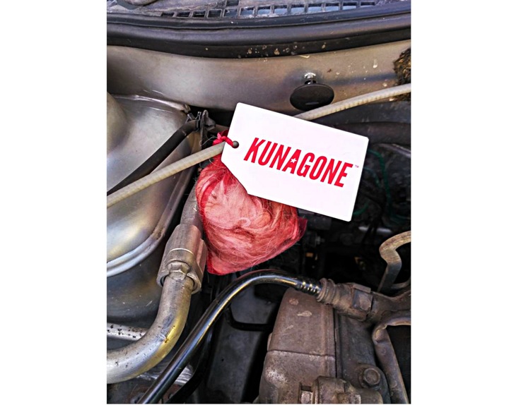 EFFICACE ODSTRASZACZ KUN SUR KUNY SIERSC PSA KUNAGONE LONGS DZIALANIE photo 7 - milautoparts-fr.ukrlive.com