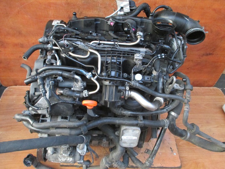 фото №10, Vw transporter t6 2.0tdi вали пошкоджені 5xy 04l103308b пошкоджений