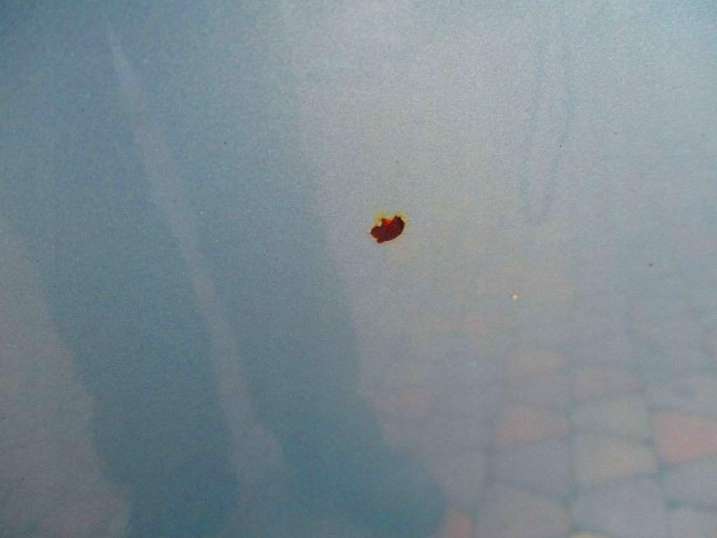 Focus mk1 98-04 капот перед крышка двигателя j8 Недорого